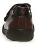 Naturino Leren sneakers "Gempe" donkerbruin