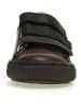Naturino Leren sneakers "Gempe" donkerbruin