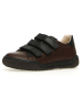 Naturino Leren sneakers "Gempe" donkerbruin