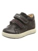 Geox Leder-Sneakers "Biglia" in Braun