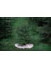 Butter Kings Kerstboomrok "Cold wilderness" crème/lichtbruin - Ø 130 cm