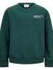Retour Sweatshirt in Grün
