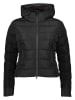 CANADIAN Winterjas "Simcoe" zwart