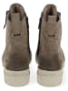 Ara Shoes Stiefeletten in Khaki