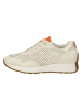 Paul Green Leder-Sneakers in Beige/ Orange/ Gold