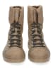 Paul Green Leder-Stiefeletten in Hellbraun