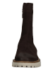 Paul Green Leder-Stiefeletten in Braun