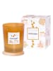 AVA & MAY Duftkerze "Toffee Crunch" in Orange - 180 g