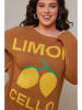 Curvy Lady Pullover in Hellbraun