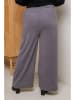 Curvy Lady Cordhose in Grau