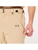 Oakley Ski-/ Snowboardhose "Best Cedar" in Beige