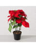 Boltze Kunstplant "Weihnachtsstern" rood - (H)40 x Ø 30 cm