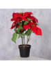 Boltze Kunstplant "Weihnachtsstern" rood - (H)40 x Ø 30 cm