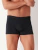 COTONELLA Boxershorts in Schwarz