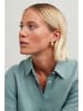 U.S. Polo Assn. Ohrstecker mit Perlen und Kristallen