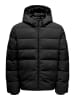 ONLY & SONS Steppjacke in Schwarz