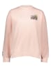 Sublevel Sweatshirt in Rosa