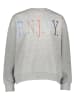 Sublevel Sweatshirt in Grau