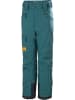 Helly Hansen Ski-/ Snowboardhose "Elements" in Türkis