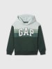 GAP Hoodie in Grün