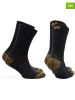 Norfolk 4er-Set: Socken in Schwarz