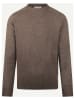 McGregor Wollpullover in Braun