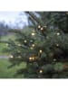 STAR Trading LED-Lichterkette in Warmweiß - (L)600 cm