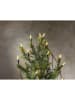 STAR Trading LED-Mini-Lichterkette in Warmweiß - (L)285 cm