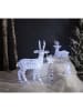 STAR Trading Decoratieve ledfiguur "Crystalo" koudwit - (B)25 x (H)26 x (D)10 cm
