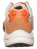Skechers Leren sneakers "Frenzy" lichtbruin/crème