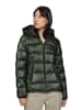 Polo Club Winterjacke in Dunkelgrün