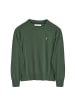 Polo Club Pullover in Grün