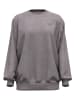 Under Armour Sweatshirt "UA Icon" in Grau