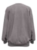 Under Armour Sweatshirt "UA Icon" in Grau