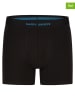 Happy Shorts 3-delige set: boxershorts zwart/turquoise