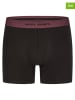Happy Shorts 3-delige set: boxershorts zwart/bordeaux
