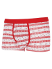 COTONELLA Boxershort rood/grijs