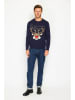 ASSUILI Pullover in Dunkelblau