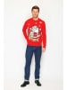 ASSUILI Pullover in Rot