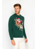 ASSUILI Pullover in Grün
