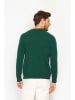 ASSUILI Pullover in Grün