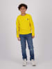 RAIZZED® Jeans "Denver" - Straight fit - in Blau
