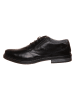 Bugatti Leder-Schnürschuhe in Schwarz