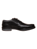 Bugatti Leder-Schnürschuhe in Schwarz