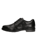 Bugatti Schnürschuhe in Schwarz