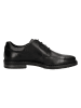 Bugatti Schnürschuhe in Schwarz