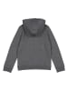 Nike Hoodie "Park" grijs