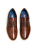 LLOYD Leder-Sneakers "Kayor" in Braun