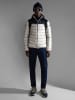 Napapijri Steppjacke "Aerons" in Grau