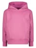 RAIZZED® Hoodie "Nasra" roze